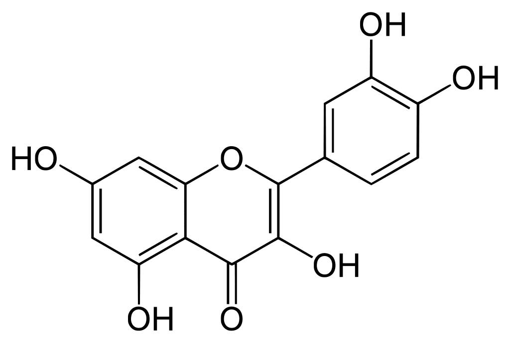 Quercetin in der Covid Prophylaxe - Senolytikum