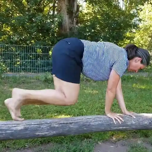 Natural Movement - Auch Krabbeln gehört zu unseren grundlegenden Fähigkeiten 