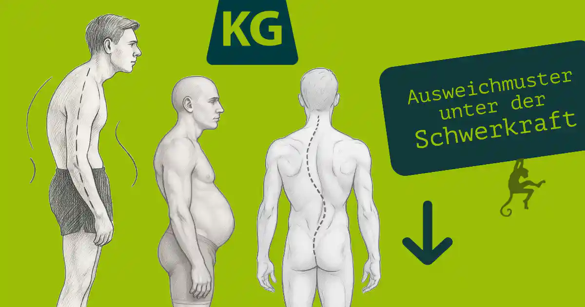 Fehlhaltungen - Hohlkreuz, Skoliose, Beckenschiefstand - Einfluss der Schwerkraft