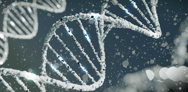 übermäßige sympathische Aktivität – auch traumatischer Stress kann DNA-Schäden verursachen