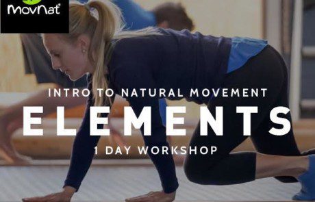 Movnat Elements 1 Tages Workshop