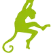 monkeyfit