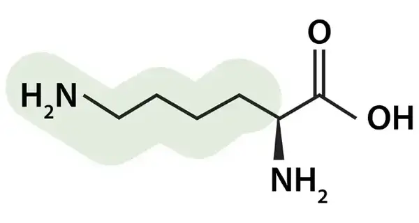 Covid vorbeugen mit Vitamin D