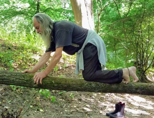 Was ist Natural Movement?