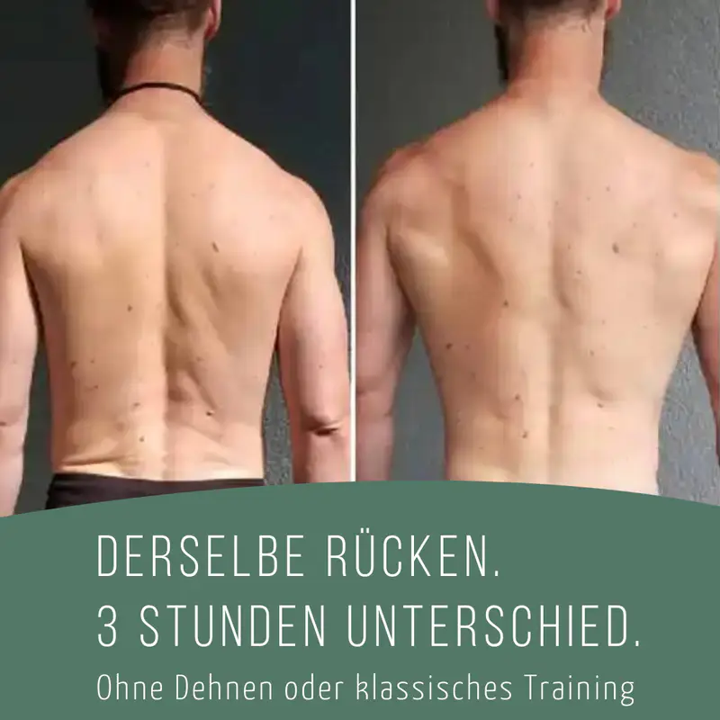 Nervensystem + Biomechanik für mehr Bewegungsfreude